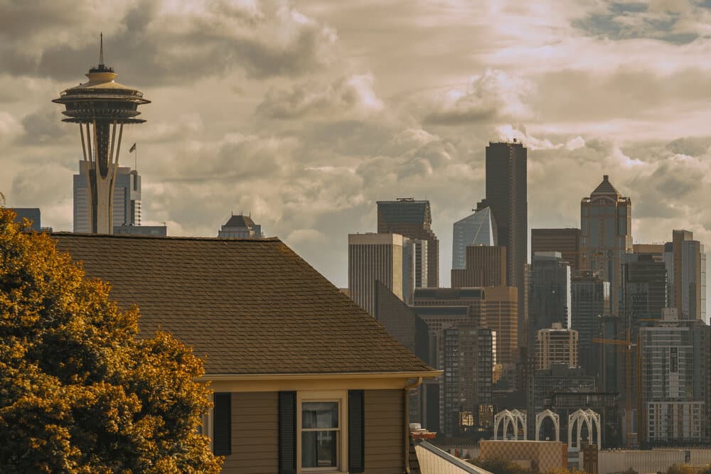 Seattle Downtown Tower Skyline View
