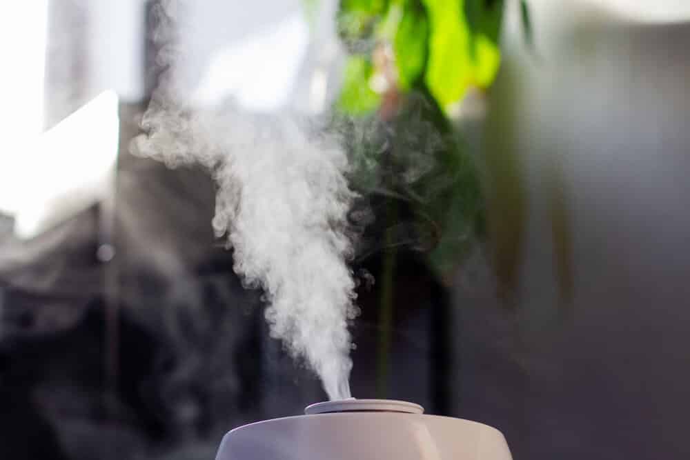 white humidifier in a home interior with sunlight